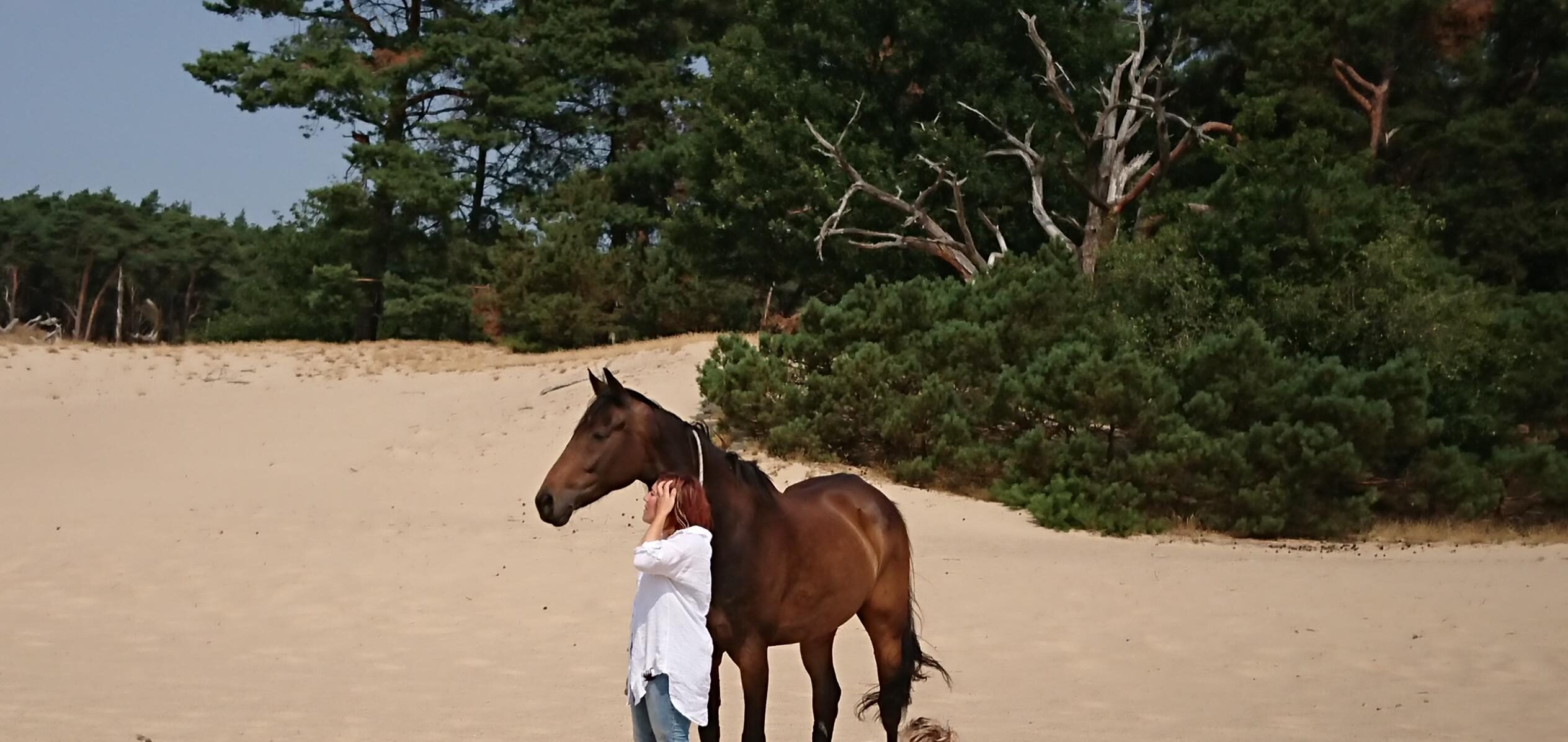 DSCPDC_0002_BURST20180719120558994